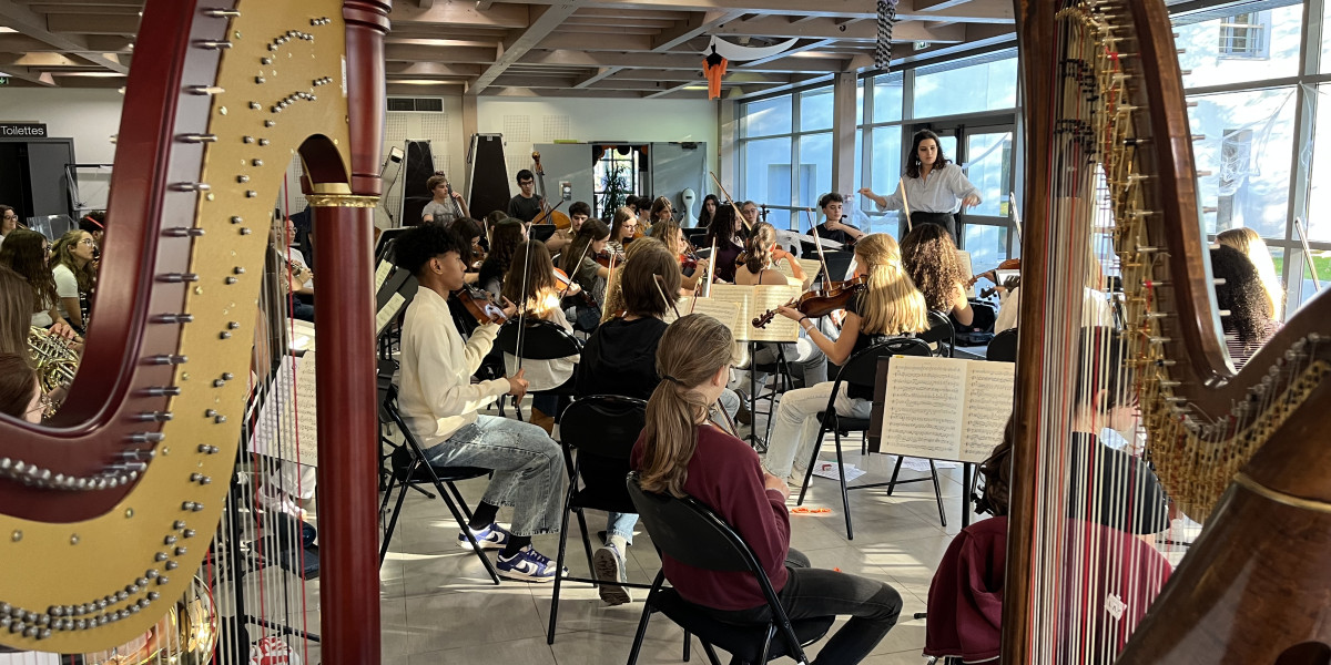 Orkestra bat egon da Irabarneko jauregian